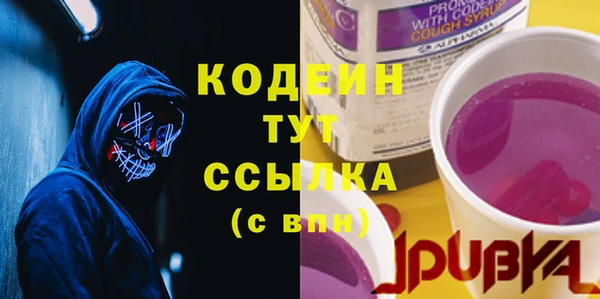 амф Ладушкин
