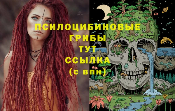 метадон Лабытнанги