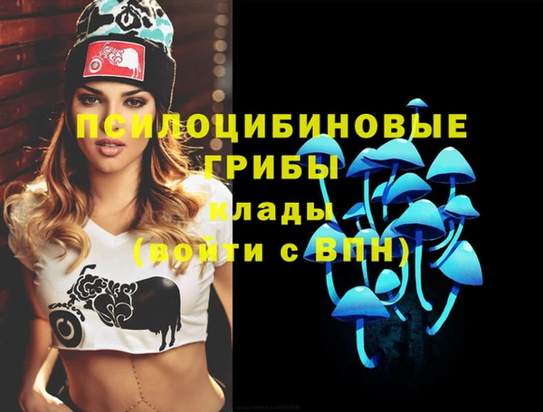 амф Ладушкин