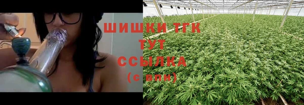 амф Ладушкин