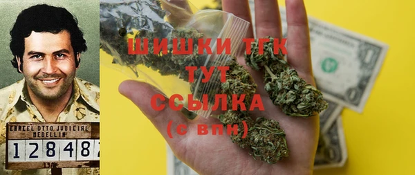 амф Ладушкин